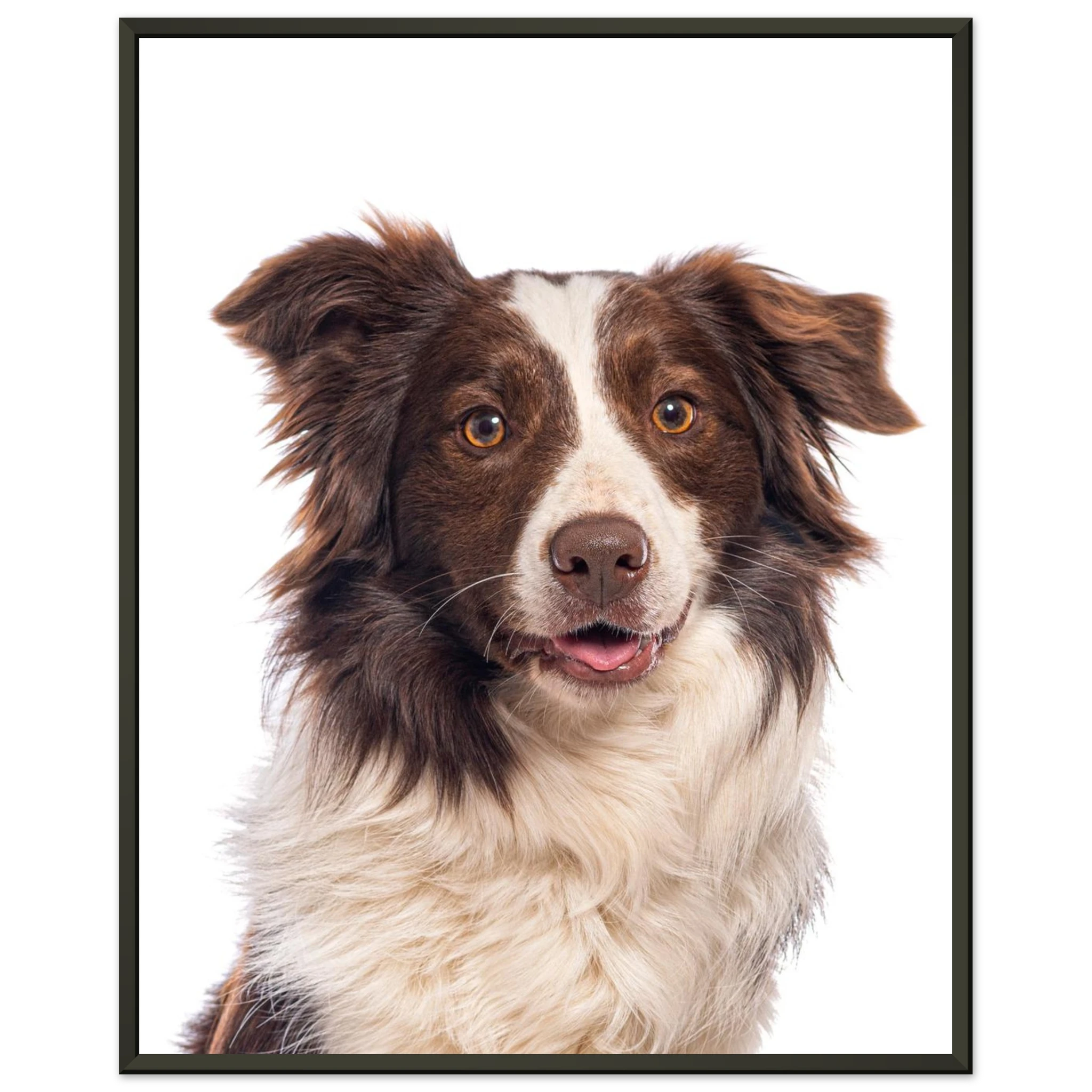 83215f16-f3f6-441c-8847-2bdff5853a00