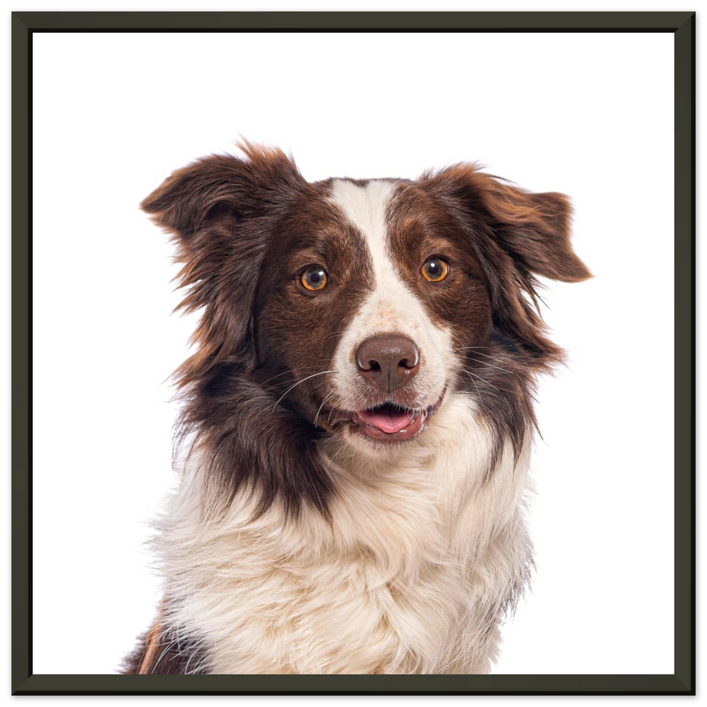 94789fb2-5f32-479d-9a30-97fec890f2ac