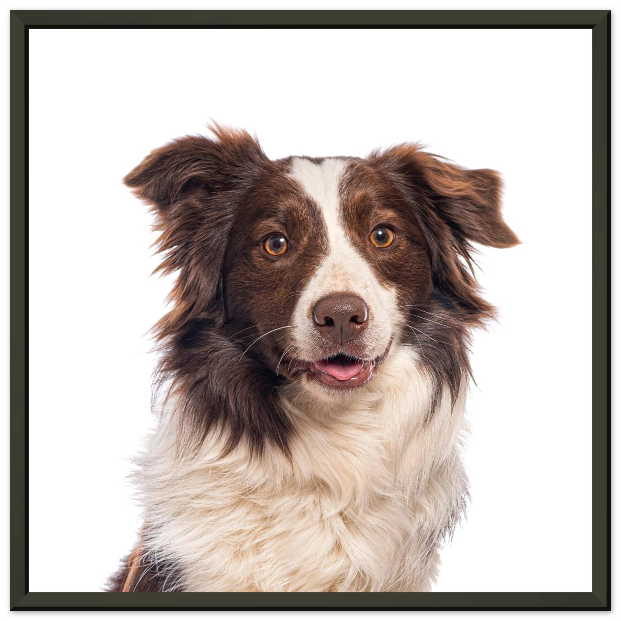 94789fb2-5f32-479d-9a30-97fec890f2ac