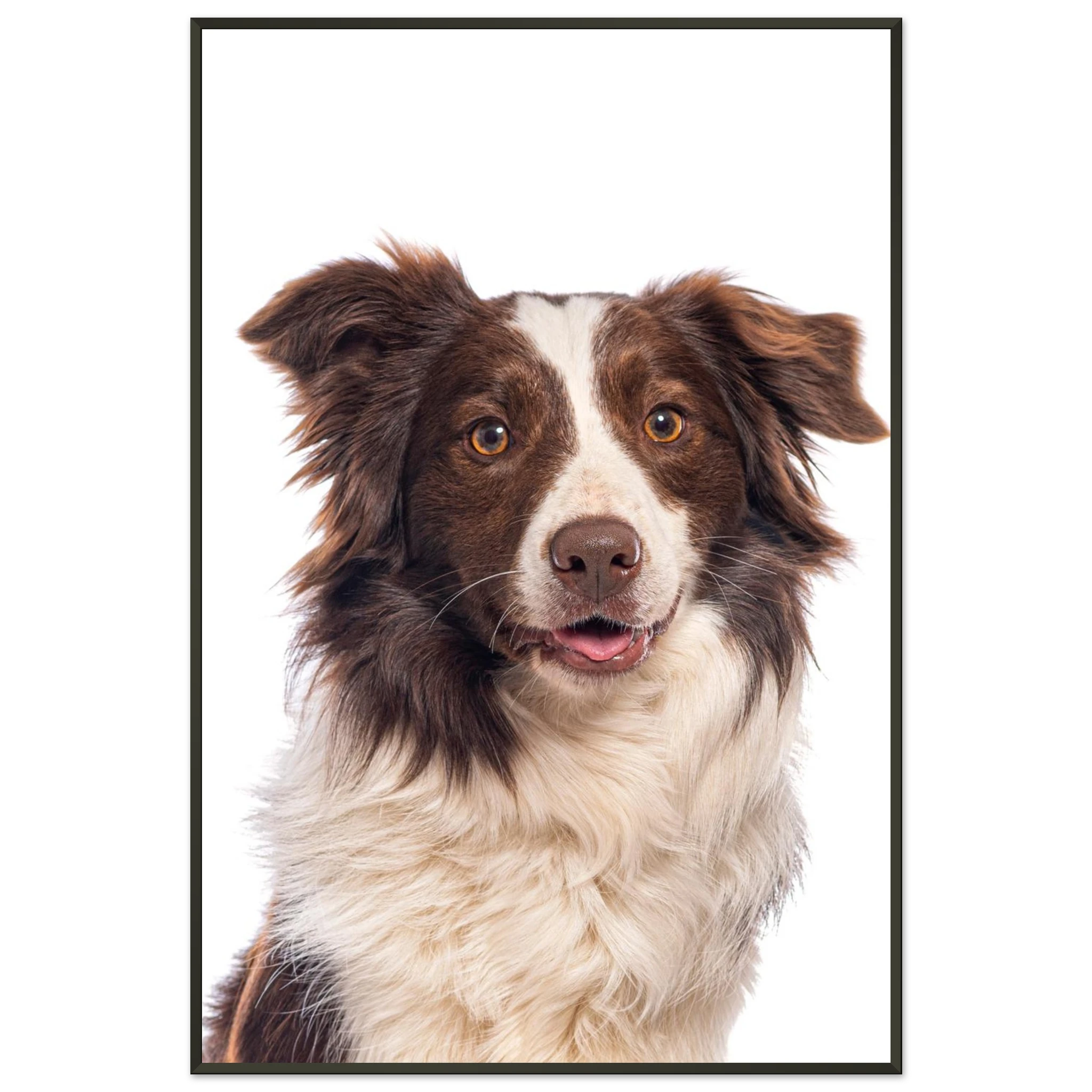 975e55f3-bf81-42fd-bee4-c1b32af52e07