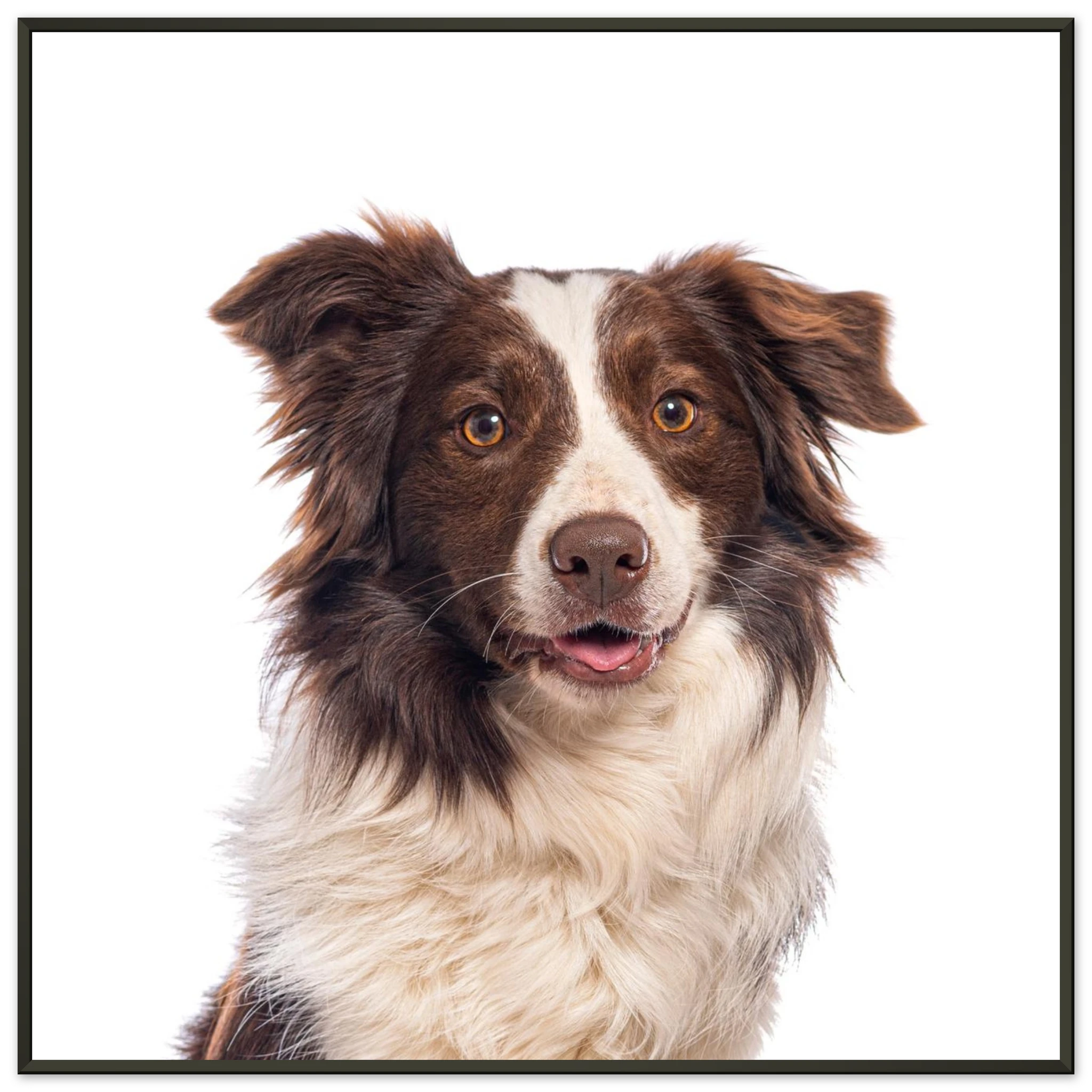 c8ecda06-4f90-42ad-811d-ed4321f802fc