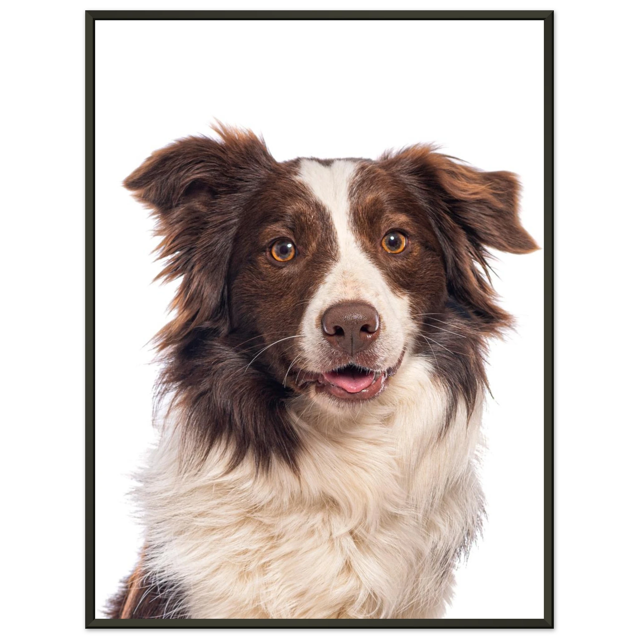 dec12b67-ca4c-45e2-a25e-dad35145374c